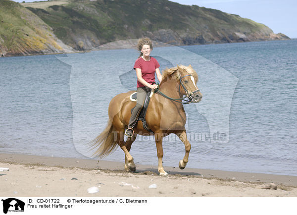 Frau reitet Haflinger / woman rides haflinger horse / CD-01722