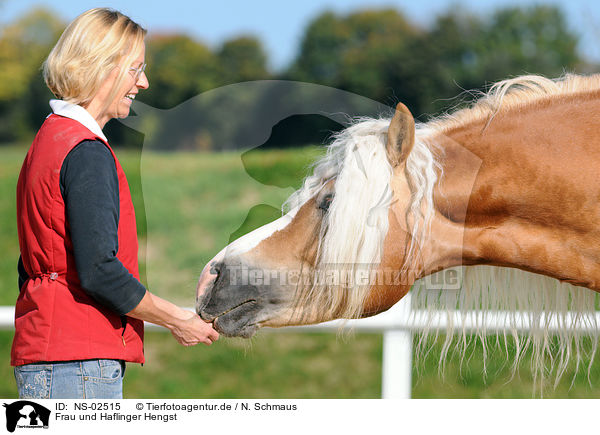 Frau und Haflinger Hengst / woman and haflinger stallion / NS-02515