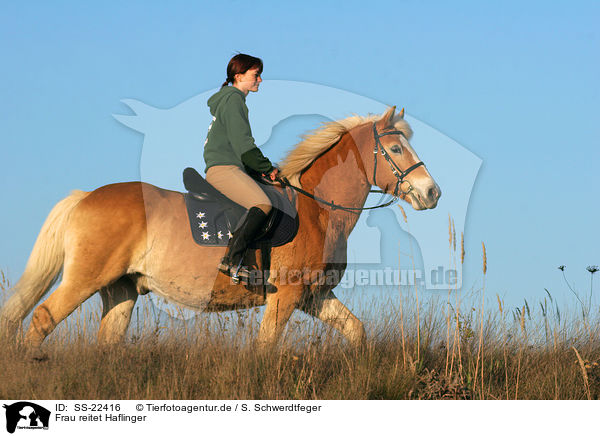 Frau reitet Haflinger / woman rides haflinger horse / SS-22416