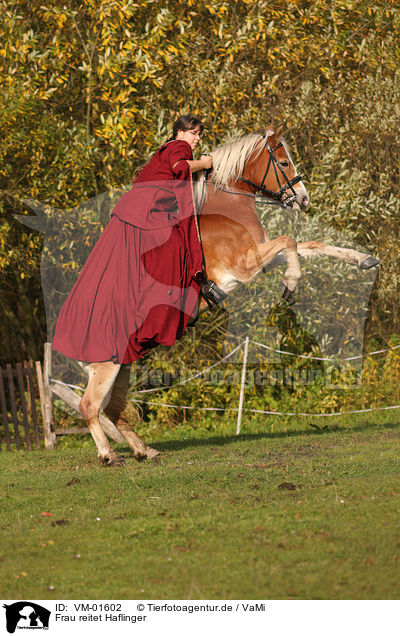 Frau reitet Haflinger / woman rides Haflinger horse / VM-01602