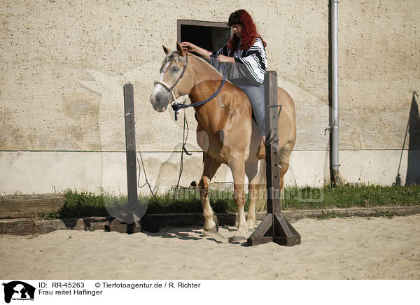 Frau reitet Haflinger / woman rides Haflinger horse / RR-45263