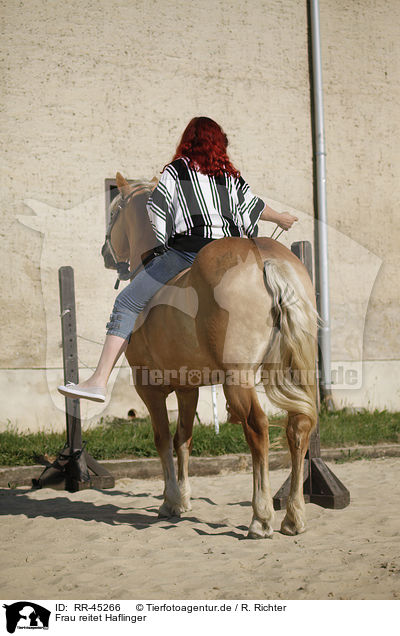 Frau reitet Haflinger / woman rides Haflinger horse / RR-45266