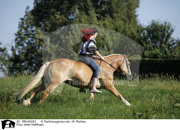 Frau reitet Haflinger / woman rides Haflinger horse / RR-45267