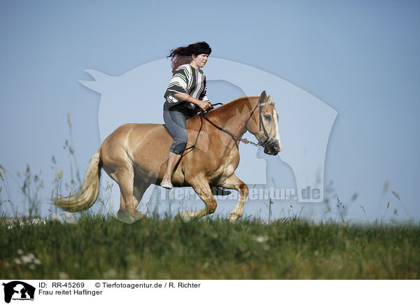 Frau reitet Haflinger / woman rides Haflinger horse / RR-45269