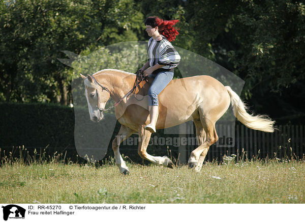 Frau reitet Haflinger / woman rides Haflinger horse / RR-45270