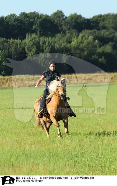 Frau reitet Haflinger / woman rides Haflinger horse / SS-28739