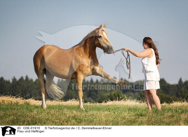 Frau und Haflinger / woman and Haflinger horse / CDE-01910