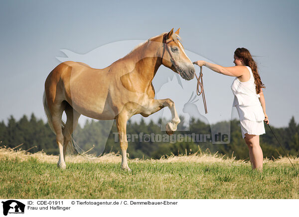 Frau und Haflinger / woman and Haflinger horse / CDE-01911