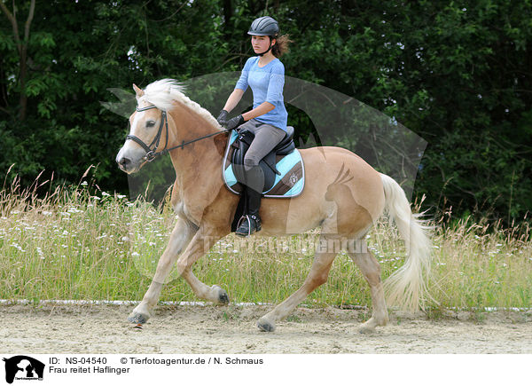 Frau reitet Haflinger / woman rides Haflinger / NS-04540