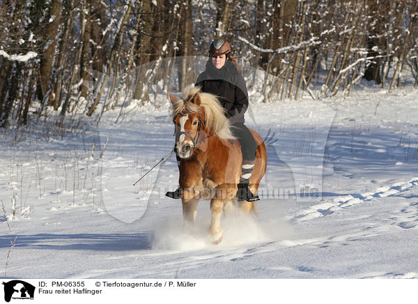 Frau reitet Haflinger / woman rides Haflinger / PM-06355