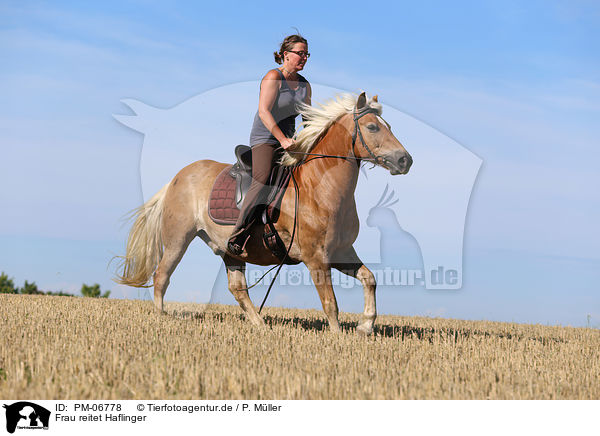 Frau reitet Haflinger / woman rides Haflinger Horse / PM-06778
