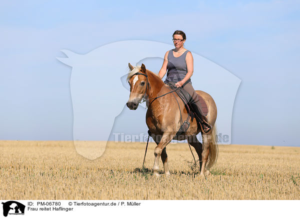 Frau reitet Haflinger / woman rides Haflinger Horse / PM-06780