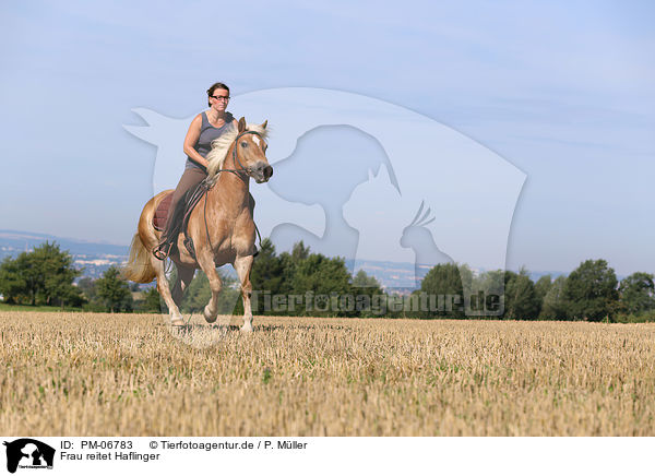 Frau reitet Haflinger / woman rides Haflinger Horse / PM-06783