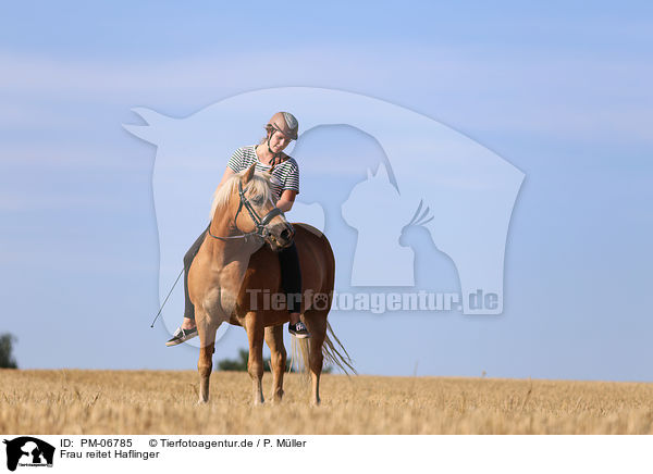 Frau reitet Haflinger / woman rides Haflinger Horse / PM-06785