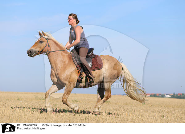 Frau reitet Haflinger / woman rides Haflinger Horse / PM-06787