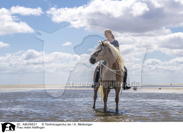 Frau reitet Haflinger / woman rides Haflinger Horse / AM-06631