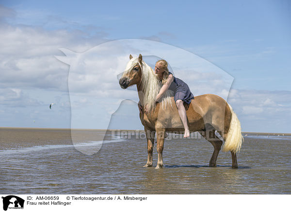 Frau reitet Haflinger / woman rides Haflinger Horse / AM-06659