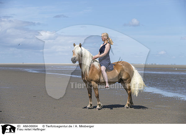 Frau reitet Haflinger / woman rides Haflinger Horse / AM-06664