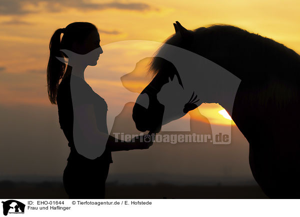 Frau und Haflinger / woman and Haflinger horse / EHO-01644