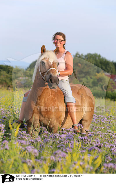Frau reitet Haflinger / woman rides Haflinger horse / PM-08047