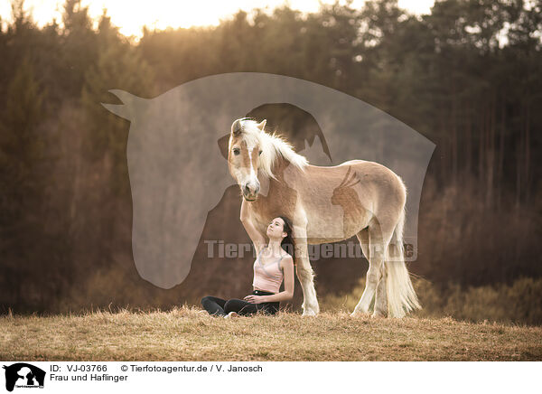 Frau und Haflinger / woman and Haflinger horse / VJ-03766