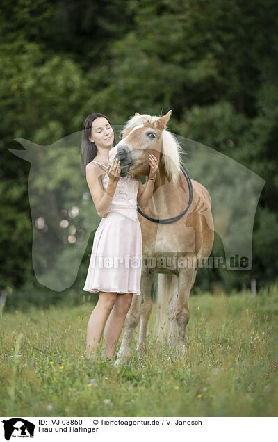 Frau und Haflinger / woman and Haflinger horse / VJ-03850