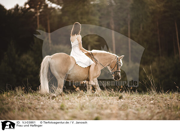 Frau und Haflinger / woman and Haflinger horse / VJ-03861