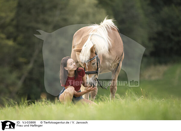 Frau und Haflinger / VJ-03866