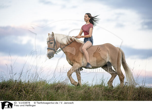 Frau und Haflinger / woman and Haflinger horse / VJ-03878
