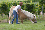 Frau mit Haflinger