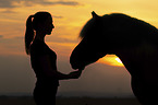 Frau und Haflinger