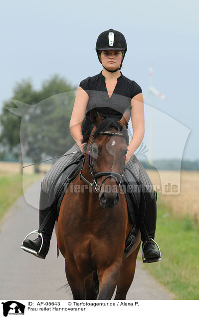 Frau reitet Hannoveraner / woman rides Hannoveraner / AP-05643