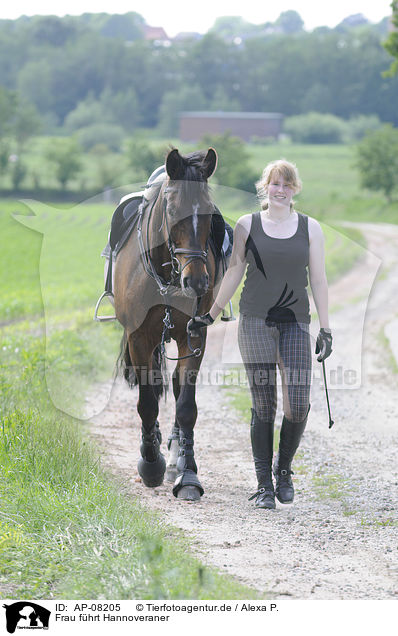 Frau fhrt Hannoveraner / woman with Hanoverian / AP-08205