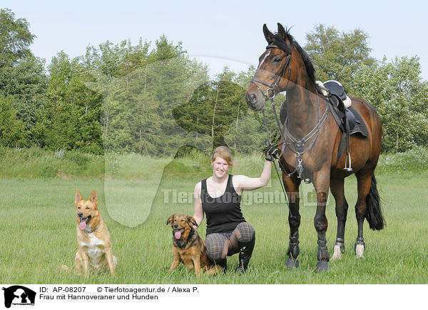 Frau mit Hannoveraner und Hunden / woman with Hanoverian and dogs / AP-08207