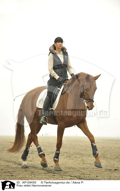 Frau reitet Hannoveraner / woman rides Hanoverian horse / AP-09450