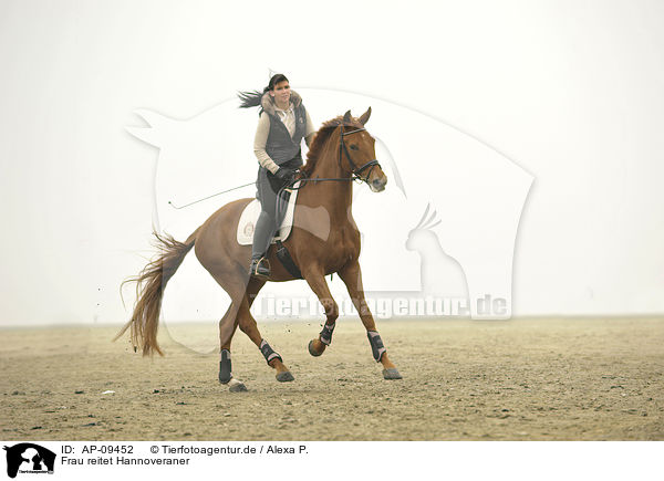 Frau reitet Hannoveraner / woman rides Hanoverian horse / AP-09452