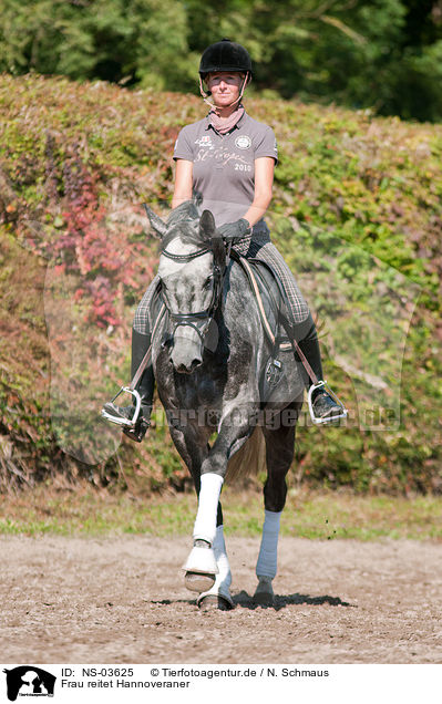 Frau reitet Hannoveraner / woman rides Hanoverian / NS-03625