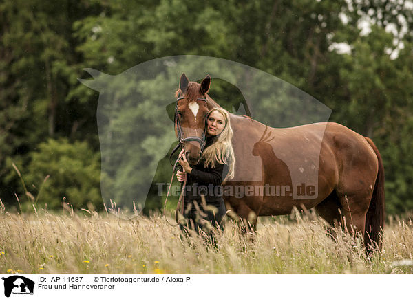 Frau und Hannoveraner / woman and Hanoverian / AP-11687