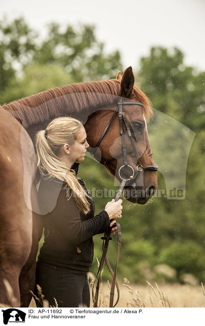 Frau und Hannoveraner / woman and Hanoverian / AP-11692