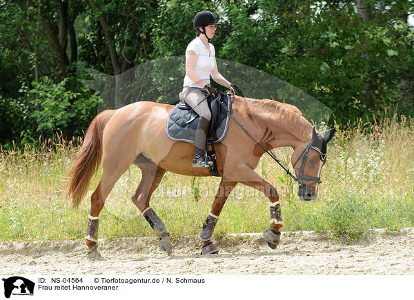 Frau reitet Hannoveraner / woman rides Hanoverian / NS-04564