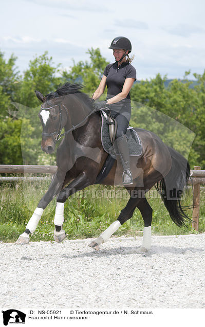 Frau reitet Hannoveraner / woman rides Hanoverian Horse / NS-05921