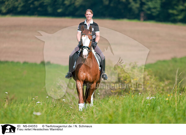 Frau reitet Hessisches Warmblut / woman rides Hessian Warmblood / NS-04053