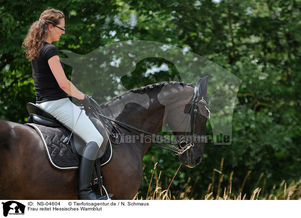 Frau reitet Hessisches Warmblut / woman rides Hessian Warmblood / NS-04604