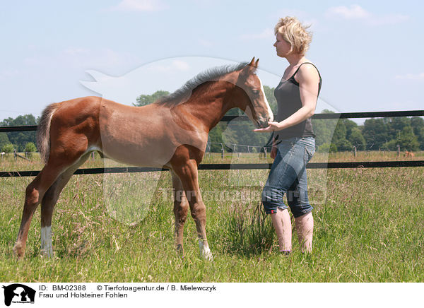Frau und Holsteiner Fohlen / woman and Holsteiner horse foal / BM-02388
