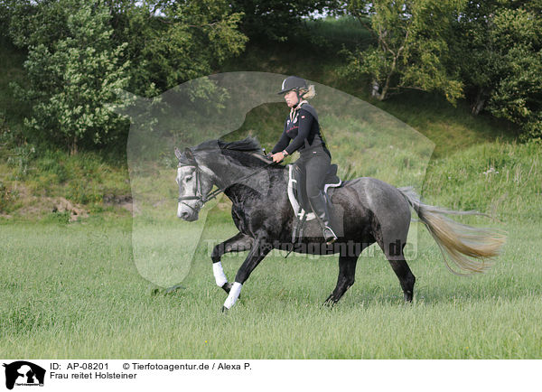 Frau reitet Holsteiner / woman rides Holsteiner horse / AP-08201