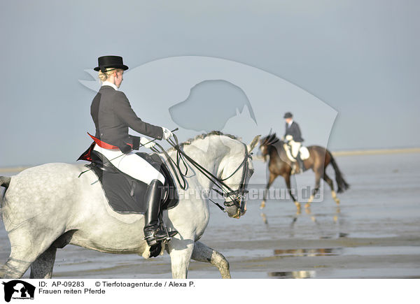Frauen reiten Pferde / women rides horses / AP-09283