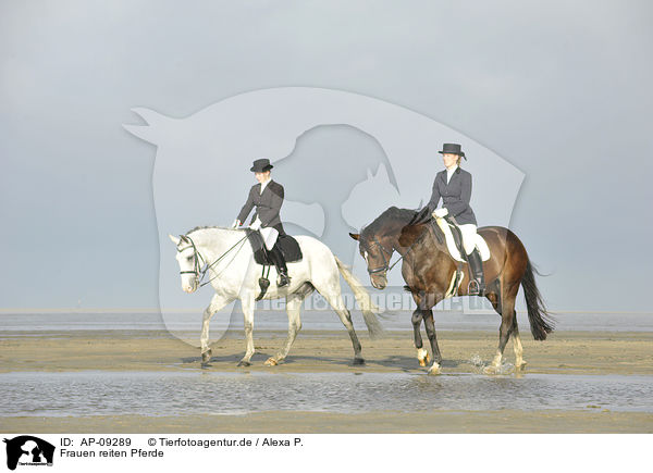 Frauen reiten Pferde / women rides horses / AP-09289
