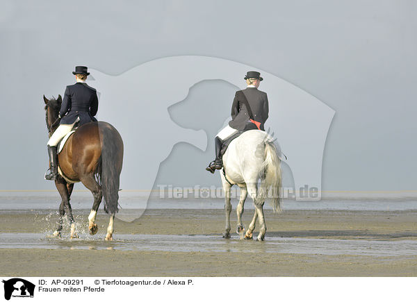 Frauen reiten Pferde / women rides horses / AP-09291