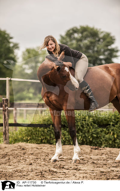 Frau reitet Holsteiner / AP-11730