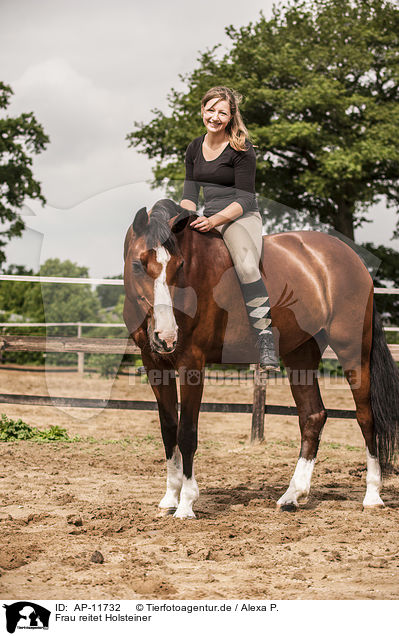 Frau reitet Holsteiner / woman rides warmblood / AP-11732